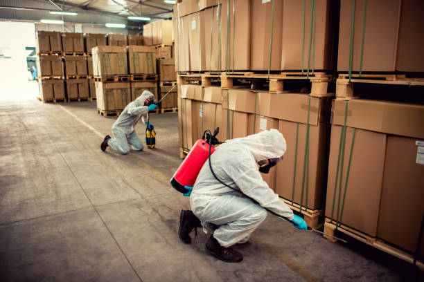 Best Termite Control Services  in Columbus, WI