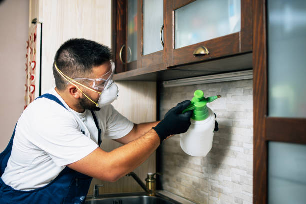 Best Affordable Pest Control Services  in Columbus, WI
