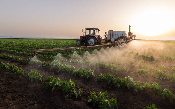 Best Pest Control Treatment  in Columbus, WI