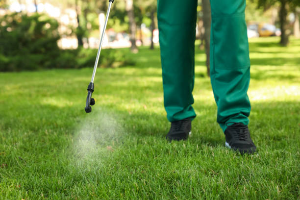 Wasp Removal Services in Columbus, WI
