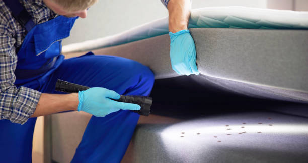 Best Pest Control Near Me in Columbus, WI