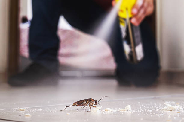 Best Exterminator Services  in Columbus, WI
